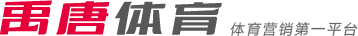 平了比分