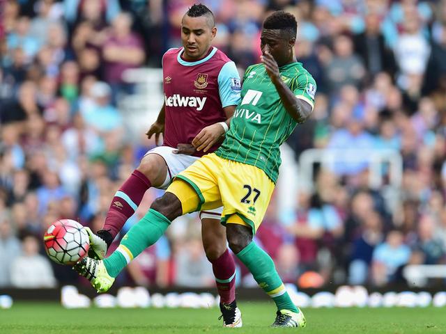 供了稳定的 供了稳定的